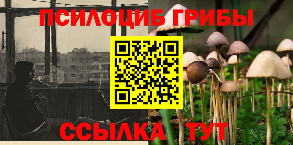 Галлюциногенные грибы мухоморы  Псилоцибиновые грибы GOLDEN TEACHER  Сергиев Посад  как найти наркотики  Вход с VPN 